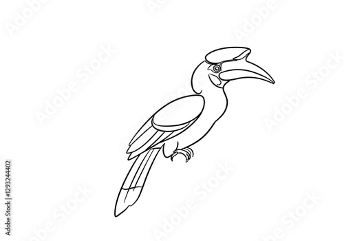Hornbill Outline Drawing of Exotic Bird with Unique Beak Shape