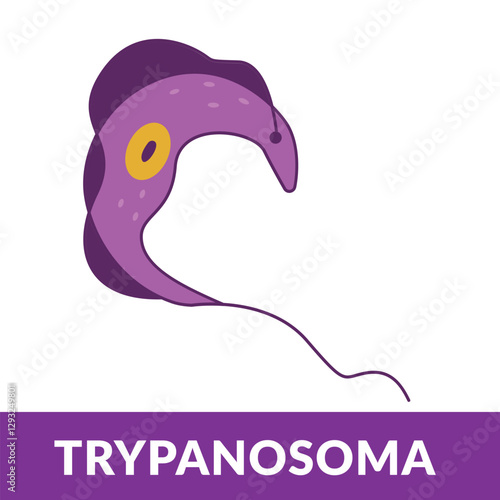 Trypanosoma Cruzi Parasite Design Illustration