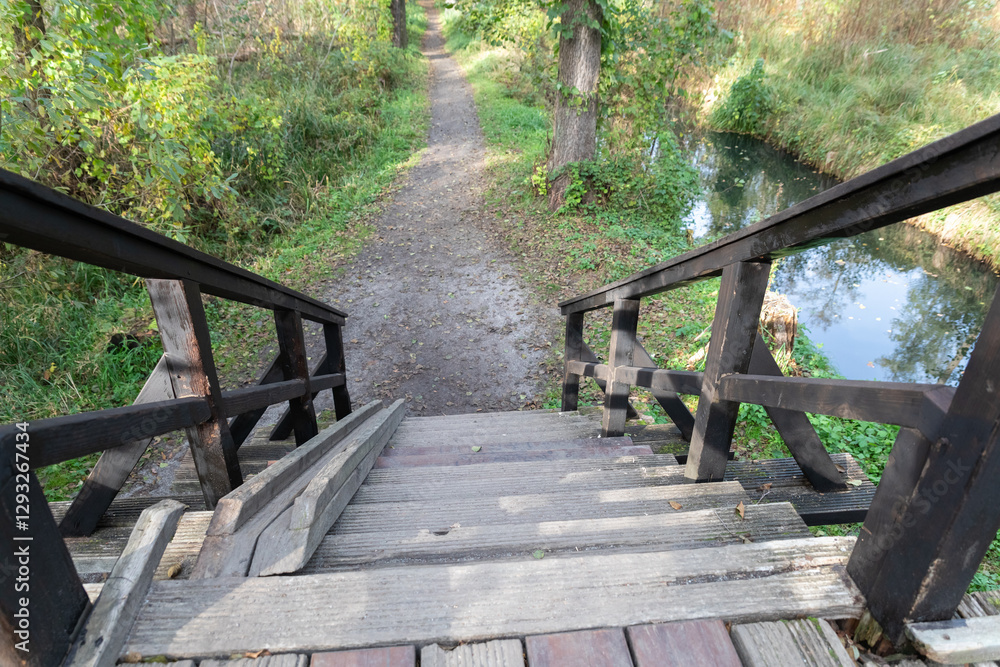 Hiking path in Spreewald, Germany Hiking path in Spreewald, Germany
