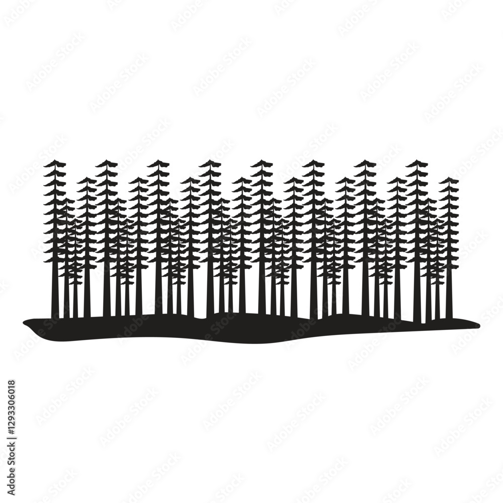 A Detailed Silhouette of a Dense Evergreen Forest with Black and White Tall Pines A Detailed Silhouette of a Dense Evergreen Forest with Black and White Tall Pines