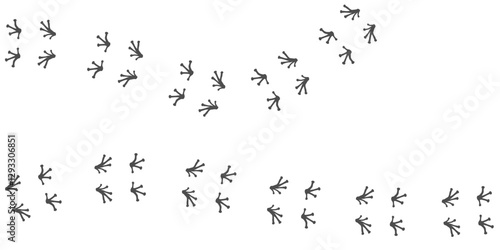 Footprints of Frog, Traces of a Reptilia on white background. Frog or anuran silhouette animal tracks. Paw Print. Vector illustration. EPS10.