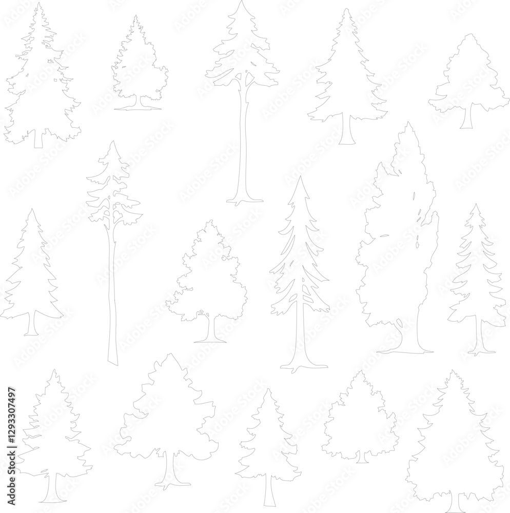 set of vector coniferous trees illustration, trees collection outline sketch isolated on white background