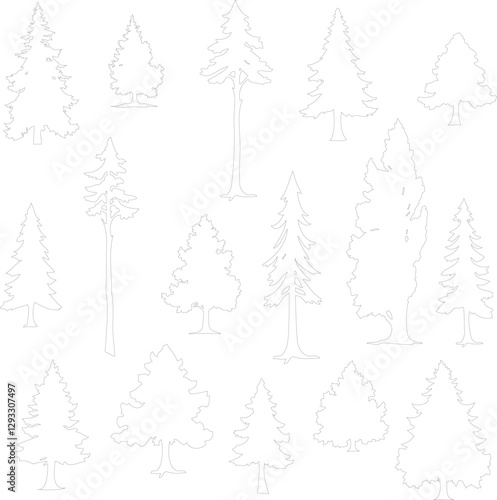 set of vector coniferous trees illustration, trees collection outline sketch isolated on white background