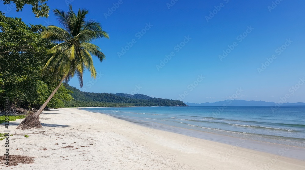 Beautiful beach with white sand and palm trees on the left side of the frame. The blue sky is clear, and there's a calm sea in front of it Beautiful beach with white sand and palm trees on the left side of the frame. The blue sky is clear, and there's a calm sea in front of it