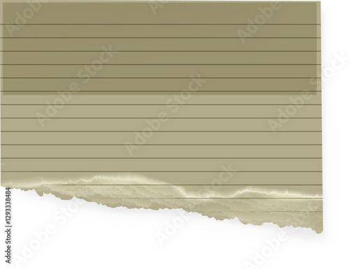 Vintage Ripped Paper