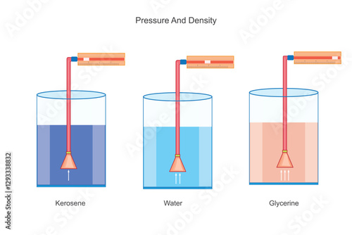 Liquids with higher density exert more pressure at the same depth. Pressure depends on density and depth, following P = ρgh, where ρ varies for different liquids.Physics illustration.