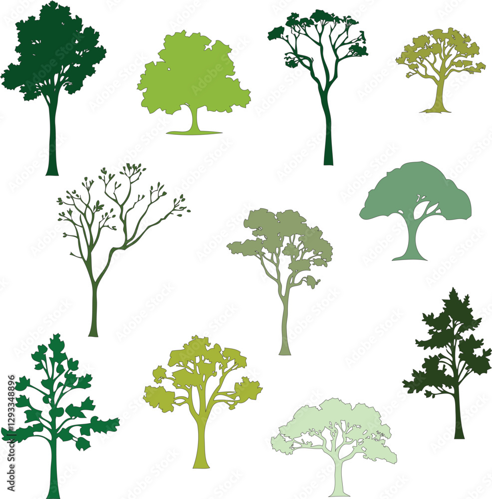 collection of deciduous trees, set of vector green trees silhouettes isolated on white background