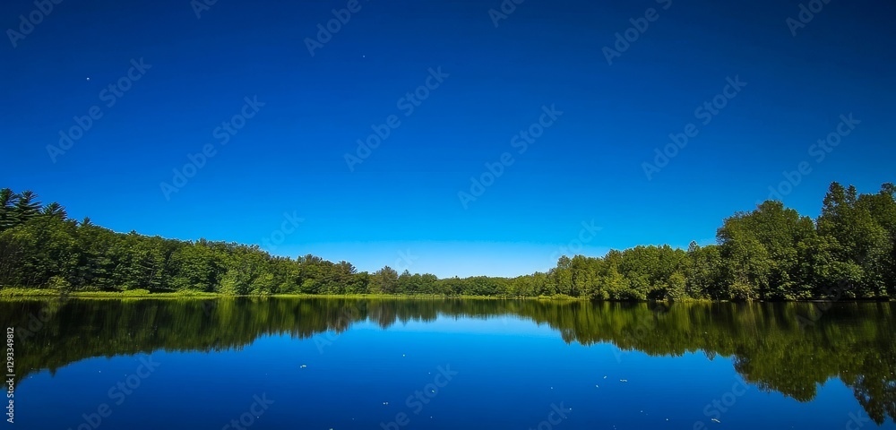 Obraz premium reflection of trees on lake with blue sky