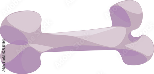 Bone for Dog
