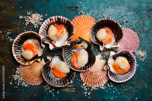 Schilderij op canvas Shellfish, raw fresh scallops on a turquoise stone background