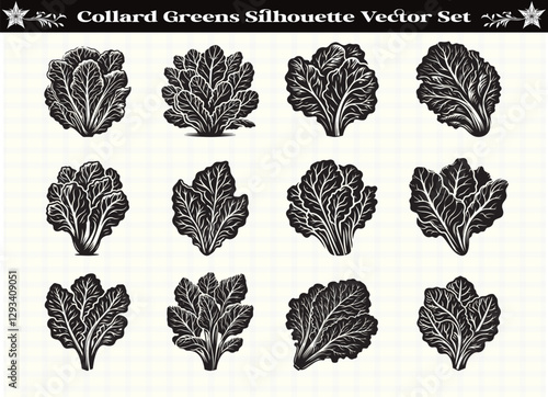 Black Color Collard Greens Silhouette Vector Illustration for Digital and Print Design