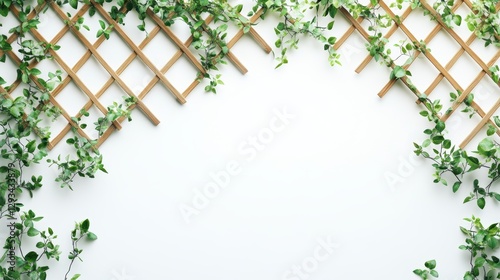 Trellis & Vines Mockup: White Copy Space 