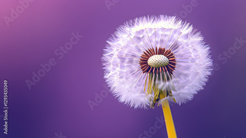 A close-up of the delicate seeds on top, symbolizing hope and new beginnings
