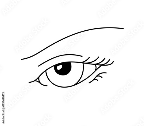 Vector isolated single woman eye with brow colorless black and white contour line easy drawing