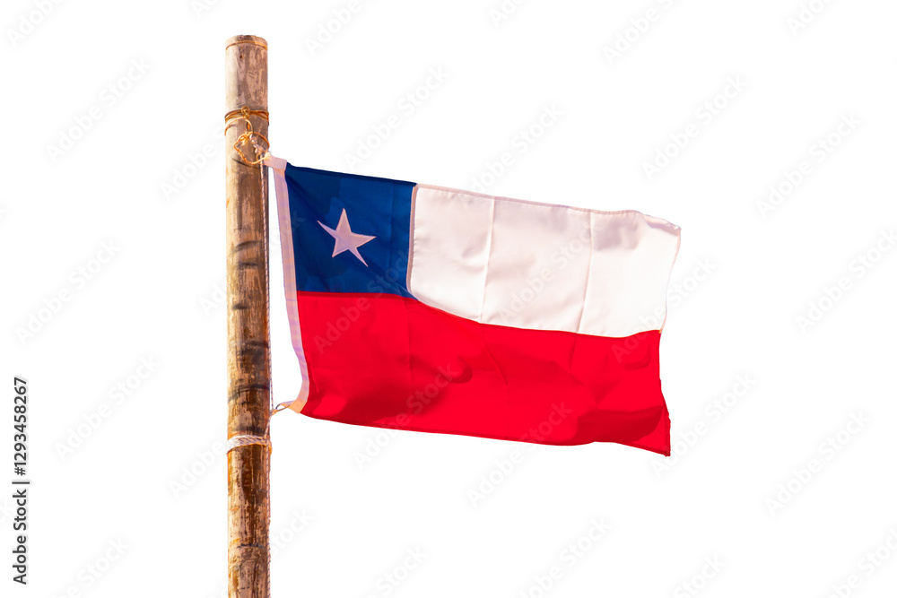 Photo of a Chilean flag on a pole isolated on transparent or white background, png