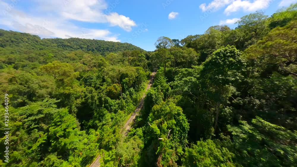 Cinematic FPV flight over road through lush tropical forest in summer, Thailand Cinematic FPV flight over road through lush tropical forest in summer, Thailand