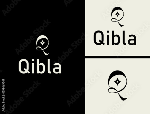 LETTER Q designs concept vector.