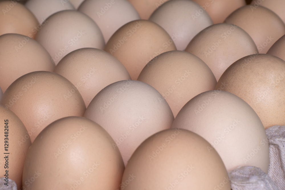 Eggs in a paper container, representing the concept of egg prices and rising food costs. Eggs in a paper container, representing the concept of egg prices and rising food costs.