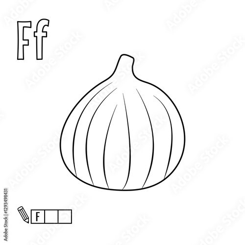 Alphabet for coloring, letter F, vector illustration, fruit and vegetable alphabet