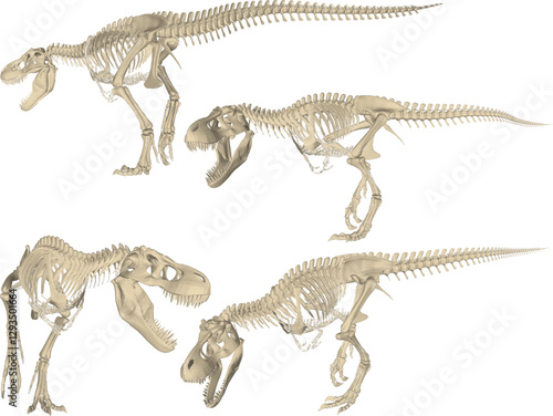 vector sketch of trex dinosaur bone fossil design for display in a museum