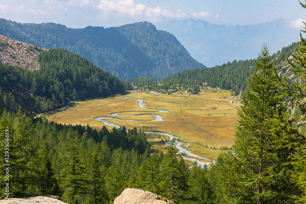 Fototapeta premium Piana di Predarossa, Val Masino