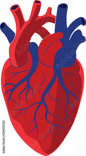 Realistic Human Heart Illustration Medical and Anatomy Concept.