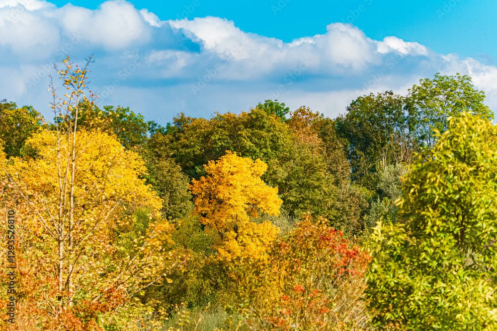 Autumn or indian summer view near Landau an der Isar, Dingolfing-Landau, Bavaria, Germany