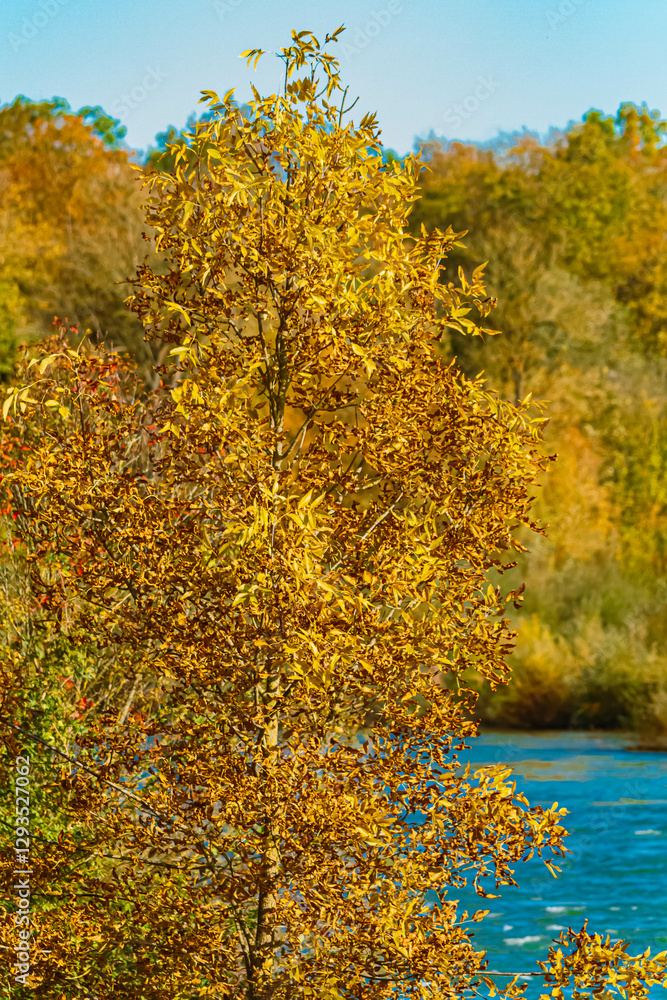 Naklejka premium Autumn or indian summer view near Landau an der Isar, Dingolfing-Landau, Bavaria, Germany