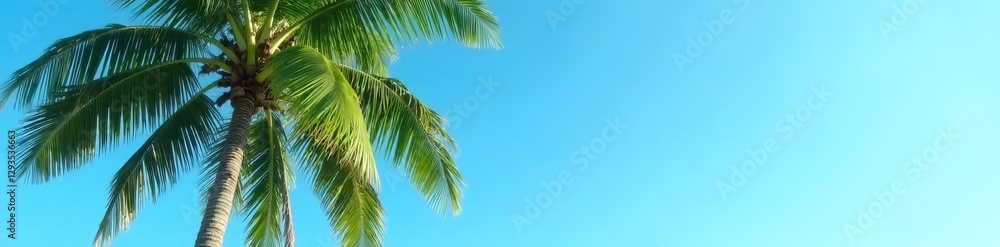A tall palm tree with lush green leaves against a clear blue sky, paradise, summer A tall palm tree with lush green leaves against a clear blue sky, paradise, summer