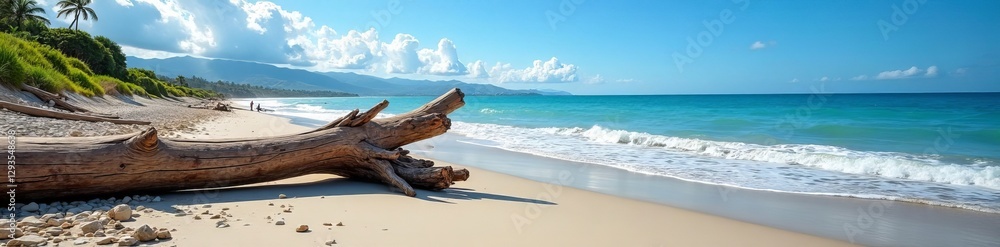 Scenic view of driftwood logs on rocky beach under blue sky, wood, background Scenic view of driftwood logs on rocky beach under blue sky, wood, background
