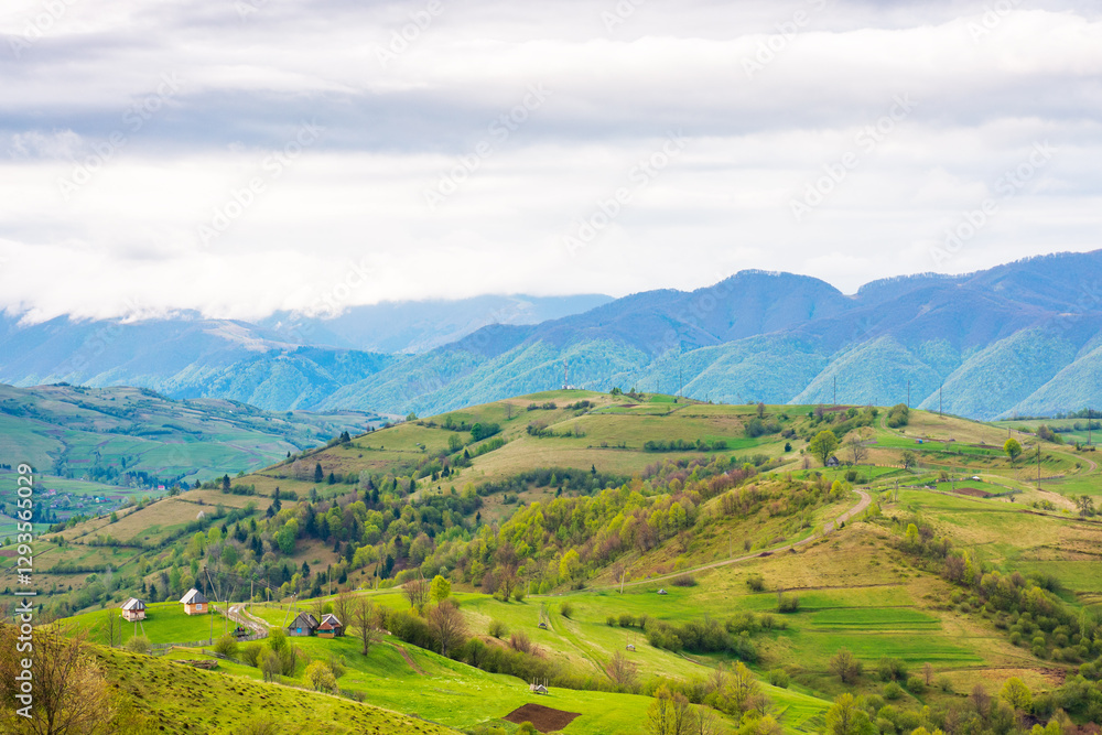 mountainous rural landscape in spring. climate carpathian. trees and agricultural fields on hills rolling in to the distant valley. ridge beneath a overcast sky in dappled light. outdoor adventure
