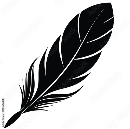 bird feather vector illustration