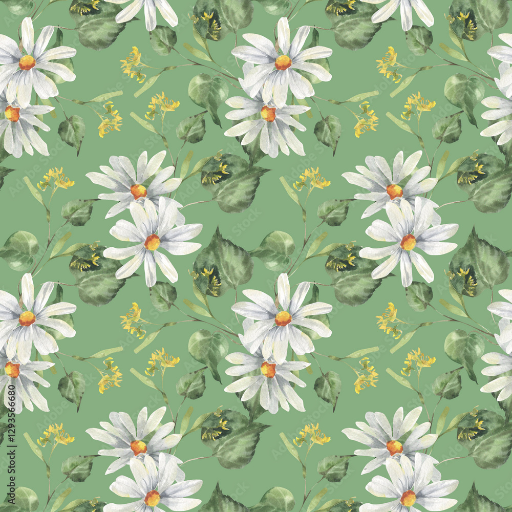 White chamomile and green linden leaves in seamless pattern on green. Watercolor rustic pastel background with garden wild wood floral elements for cosmetics, medicine,packing design,cottage decor White chamomile and green linden leaves in seamless pattern on green. Watercolor rustic pastel background with garden wild wood floral elements for cosmetics, medicine,packing design,cottage decor