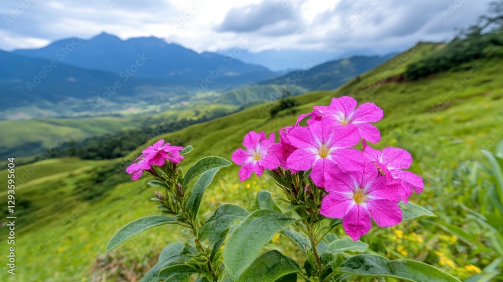 Obraz premium Vibrant Pink Flowers Against Lush Green Mountain Landscape