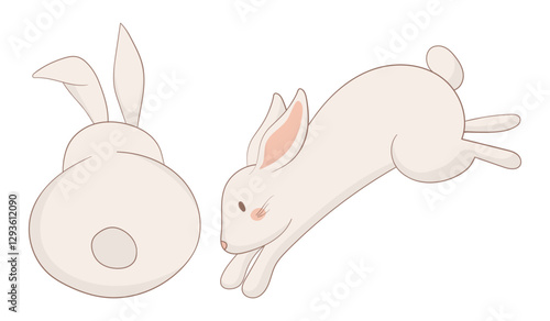 Back-view and jumping bunny icon. One rabbit is leaping gracefully while the other is shown from behind. Simple and charming animal illustration