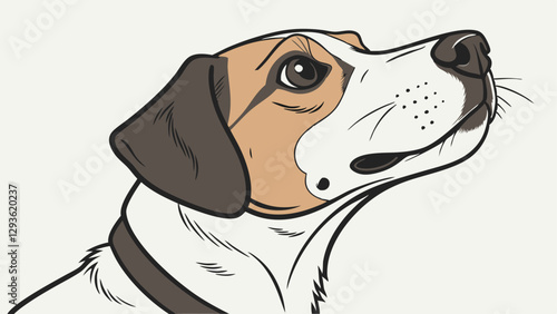 beagle dog portrait