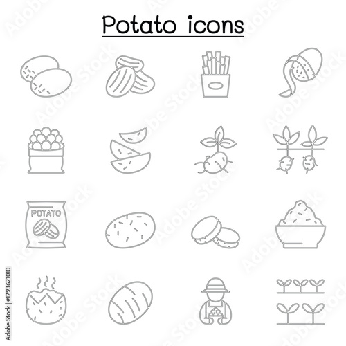 potato icon set in thin line style