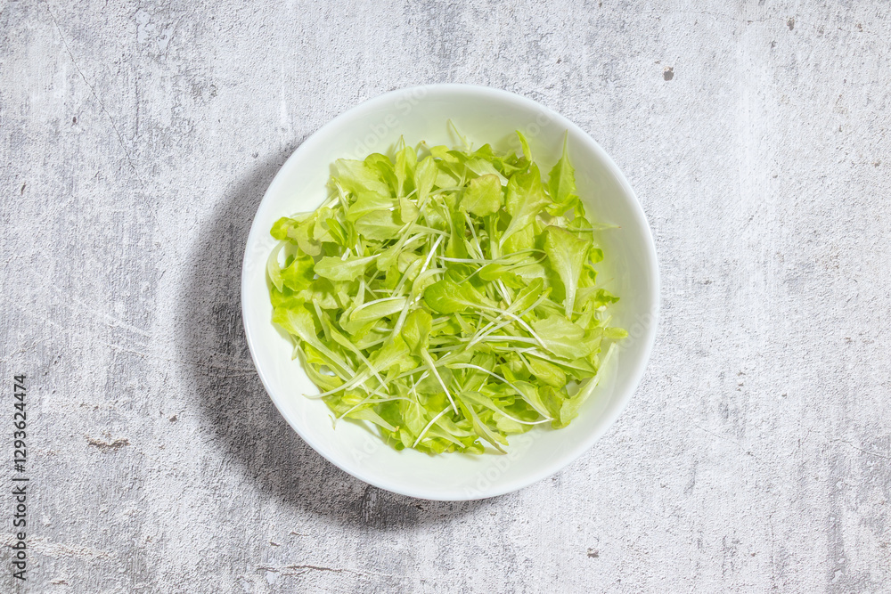 A white bowl filled with fresh green microgreens on a textured grey surface. A white bowl filled with fresh green microgreens on a textured grey surface.