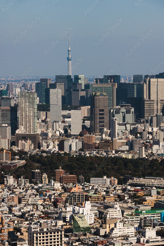 Fototapeta premium Beautiful super wide aerial view of Tokyo, Japan, rooftops and skyscrapers, with skyline and city scenery, seen from the observation deck in a sunny day with a blue sky, Tokyo Metropolitan urban area