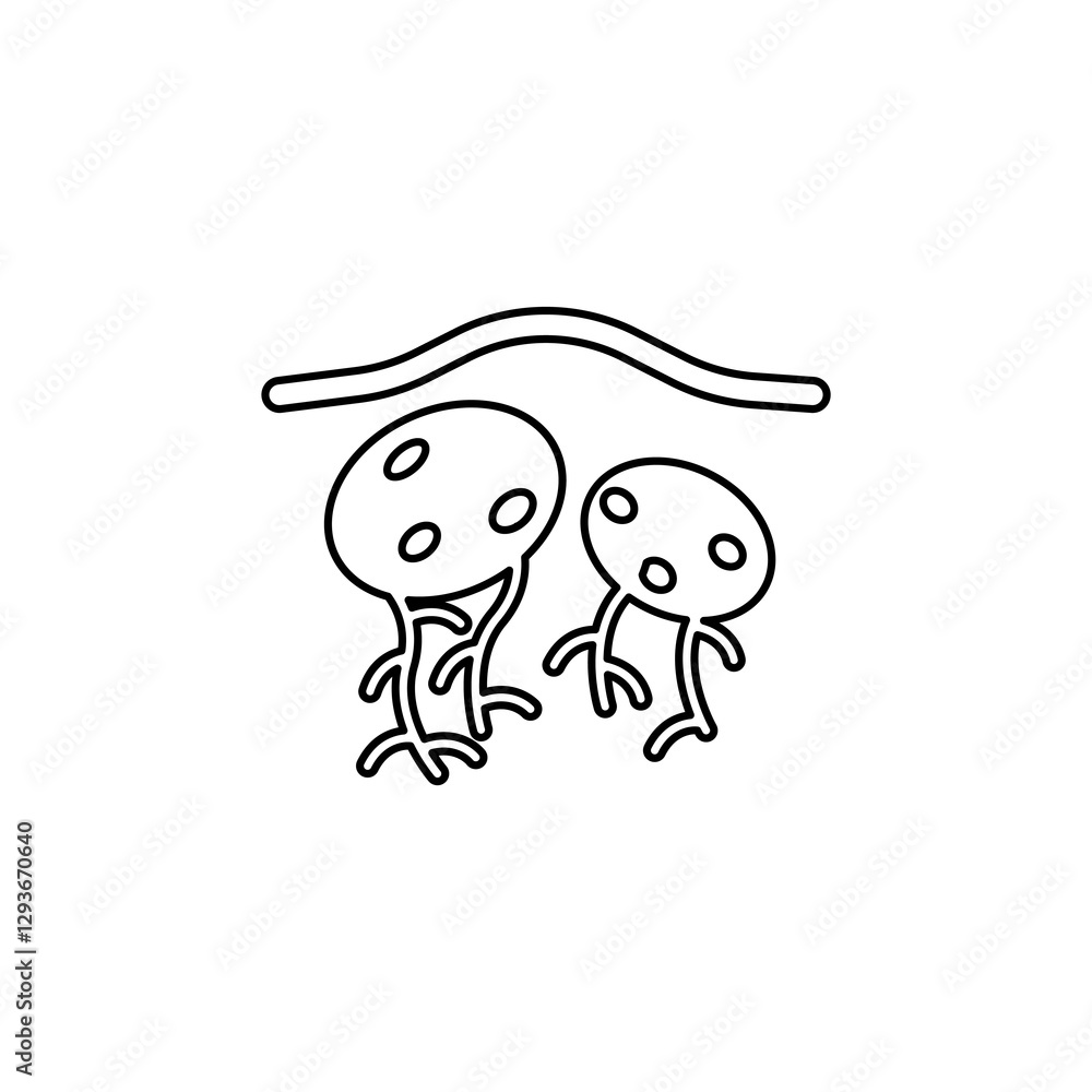 potato icon on white background, vector illustration potato icon on white background, vector illustration