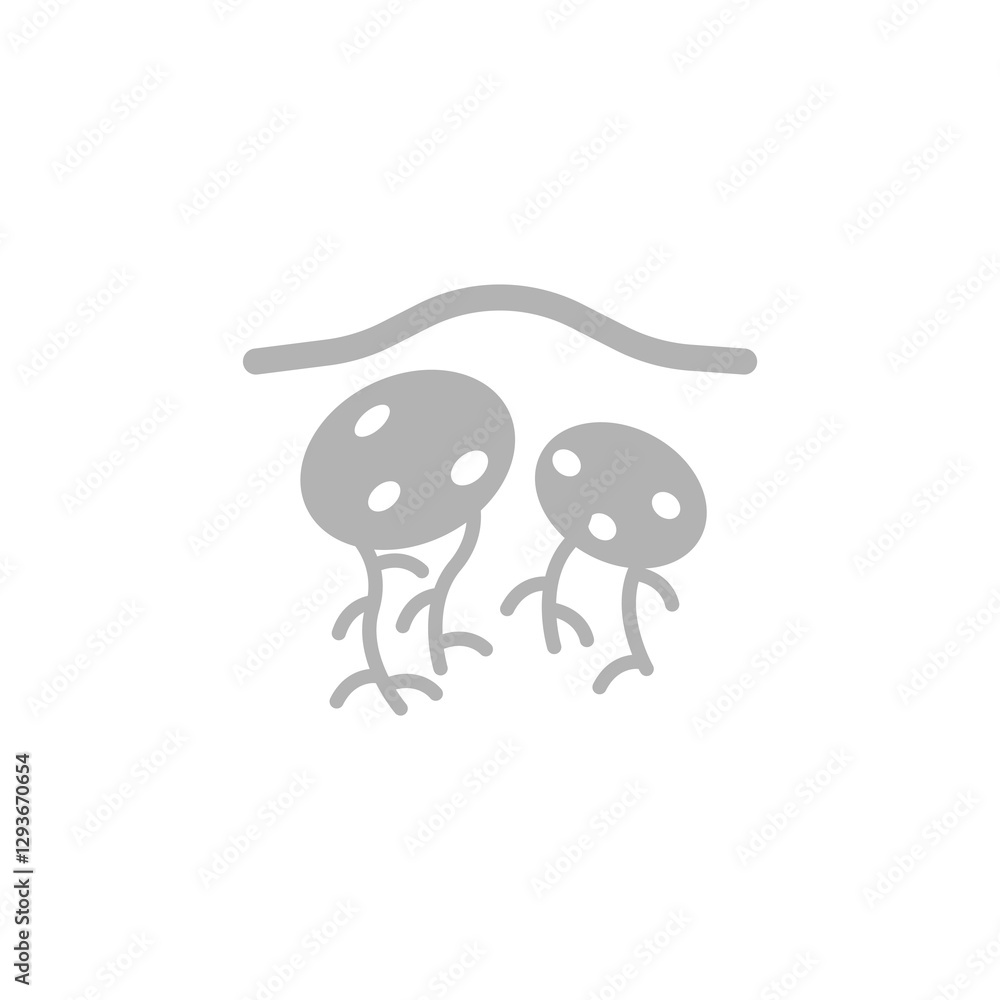 potato icon on white background, vector illustration potato icon on white background, vector illustration