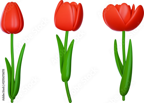 Tulip flower with red buds in vector 3d realistic style. Set of botanical plant elements for branding holiday or events. Beautiful glossy illustration.