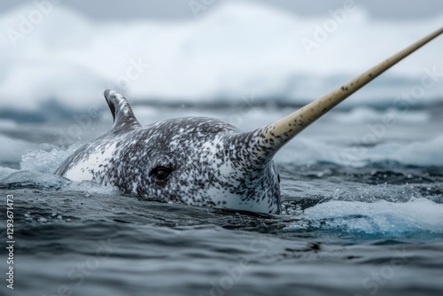 Wallpaper Mural A narwhal swims in the ocean, its distinctive horn visible Torontodigital.ca