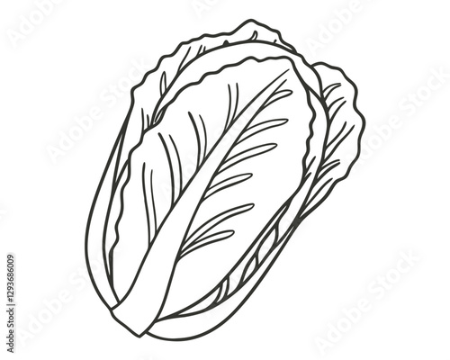 Hand-drawn kohlrabi line art  illustration. Vintage-style etching, perfect for packaging, prints, menus, and digital designs.