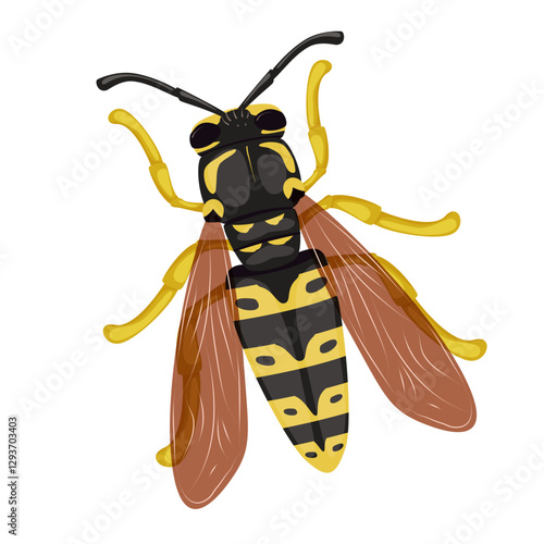 Wasp insect on a white background. Insects in summer and spring. Isolated vector illustration.
