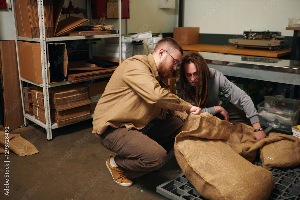 Fototapeta premium High angle shot of two Caucasian men kneeling near huge bag full of new coffee beans, they opening it carefully to check product