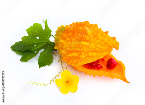 Ripe Open Bitter Melon with Flower and Leaf