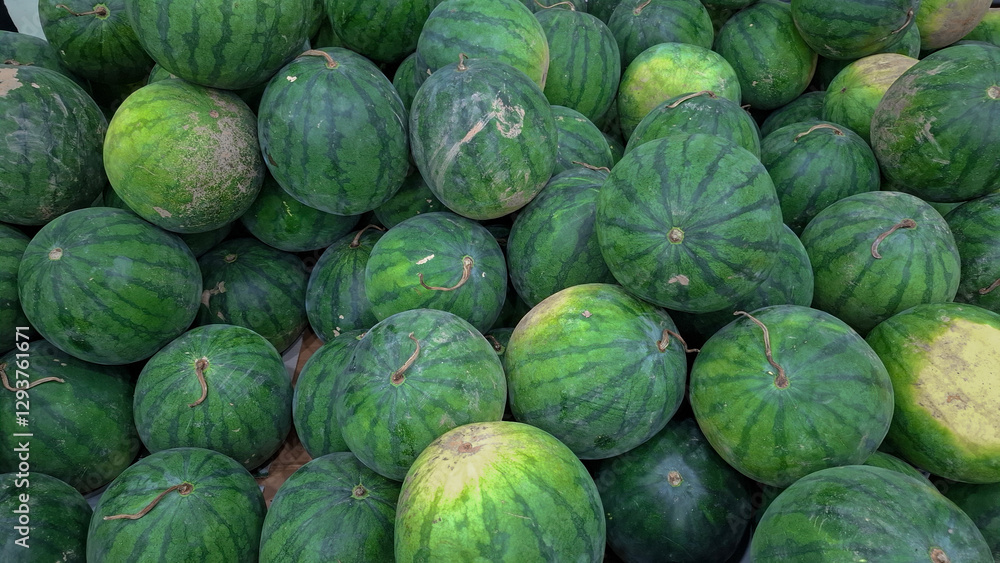 watermelon rack in the market texture background fruit watermelon rack in the market texture background fruit