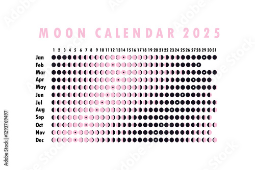 2025 Moon calendar. Astrological calendar design. planner. Place for stickers. Month cycle planner mockup. Isolated black and white background.