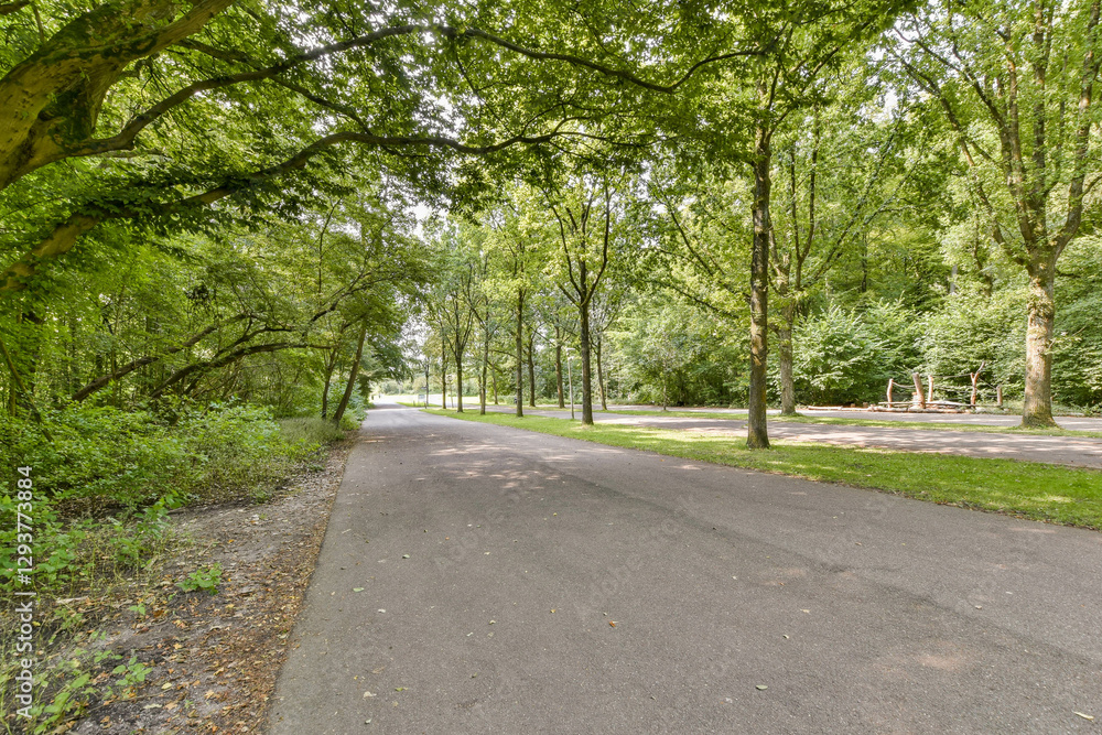 A peaceful pathway meandering through a vibrant forest filled with tall trees and lush greenery, inviting serenity and nature's beauty. A peaceful pathway meandering through a vibrant forest filled with tall trees and lush greenery, inviting serenity and nature's beauty.